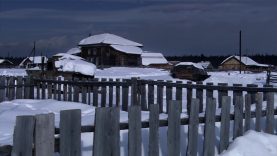 мужчины охотятся в лесу